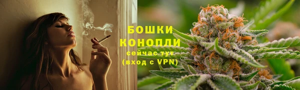 СК Аркадак