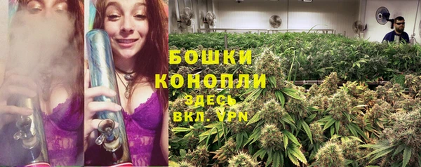 ECSTASY Армянск