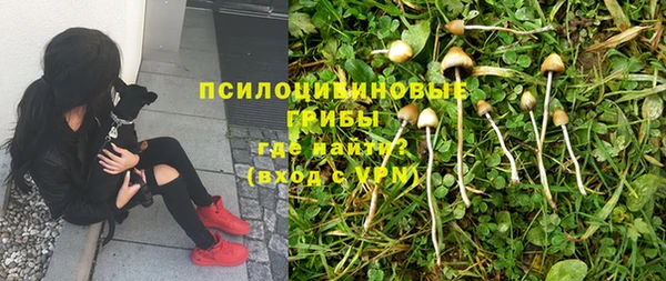 ECSTASY Армянск